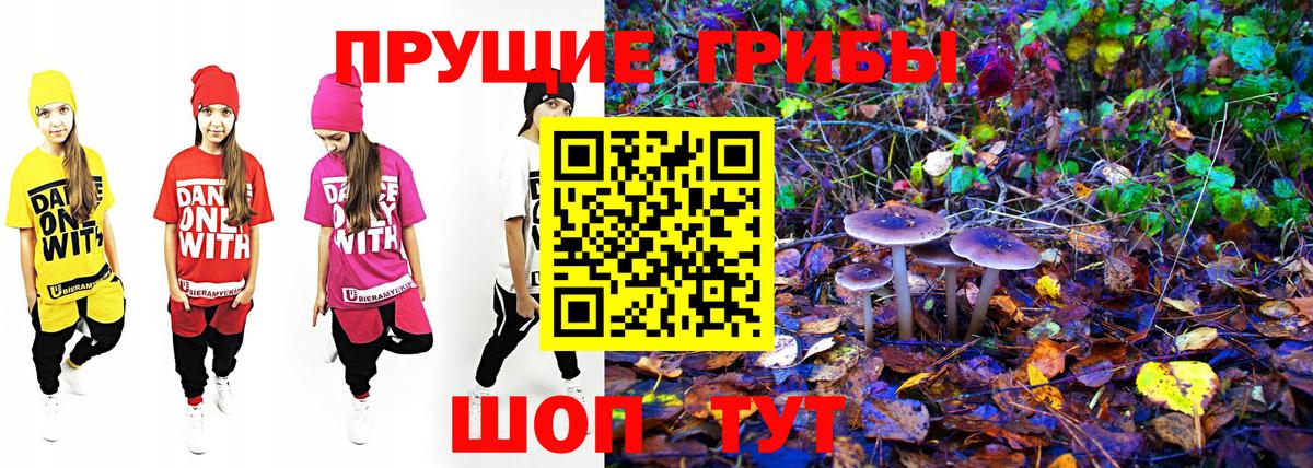 Псилоцибиновые грибы ЛСД Электрогорск