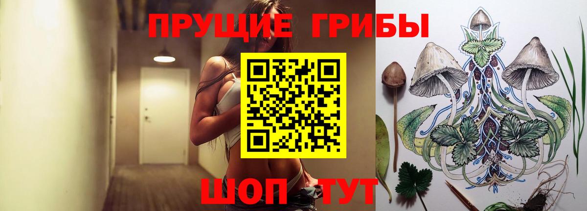 Псилоцибиновые грибы мицелий  Вход с VPN  Электрогорск 